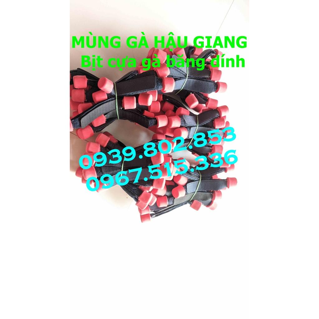 Bịt cựa gà giá sỉ