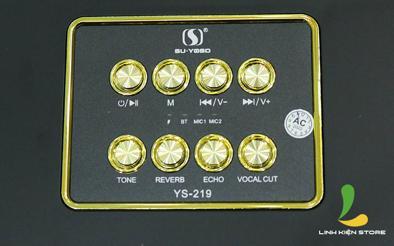 Loa Bluetooth Karaoke YS219 - Loa di động chất liệu nhựa cứng tặng kèm bộ đôi micro không dây nhẹ hơi có chức năng thay đổi giọng nói