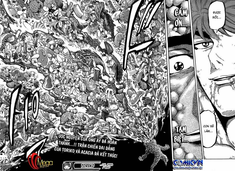 thợ săn ẩm thực chapter 393 18