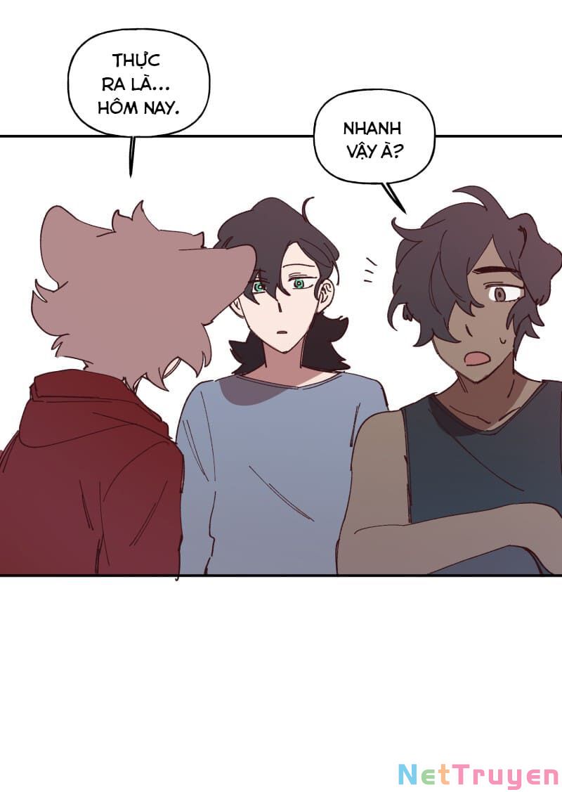 lumine - cội nguồn ánh sáng chapter 114 10