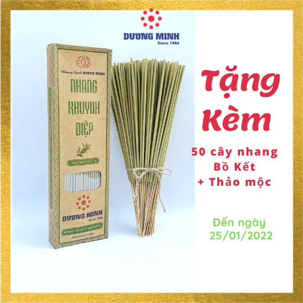 Nhang Khuynh Diệp Dương Minh 180cây nhang sạch 30cm 100% thành phần tự nhiên nhang thơm an toàn không hóa chất - nhang cây hương organic