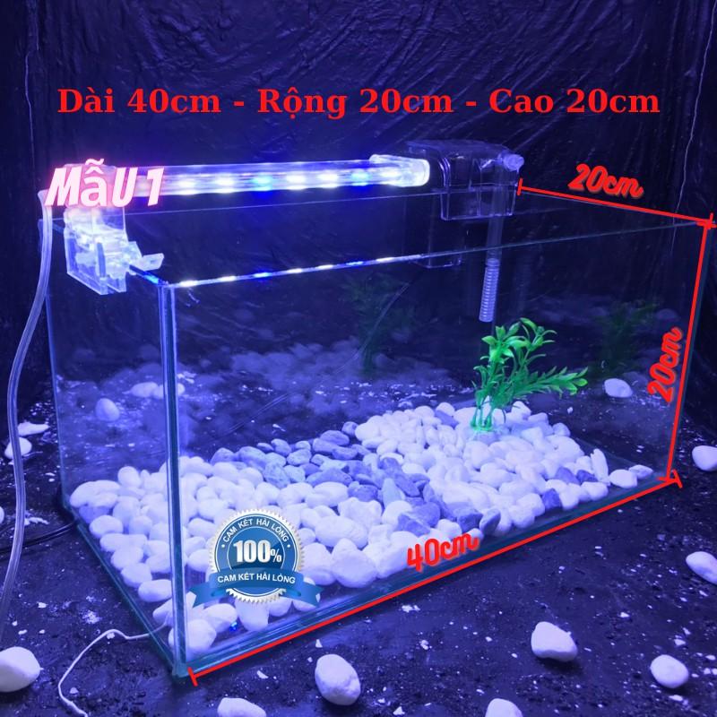 Bể cá mini COMBO ĐẦY ĐỦ dành cho nuôi cá cảnh phong thủy mini