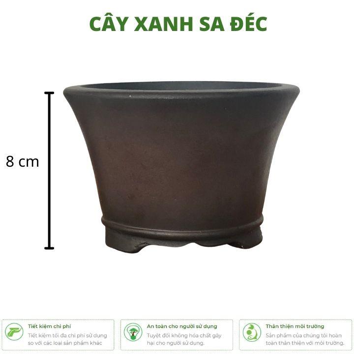 Chậu tròn mini CK5 trồng cây đặt bàn làm việc, phòng khách, phòng ngủ thiết kế trơn, sang trọng, tối giản