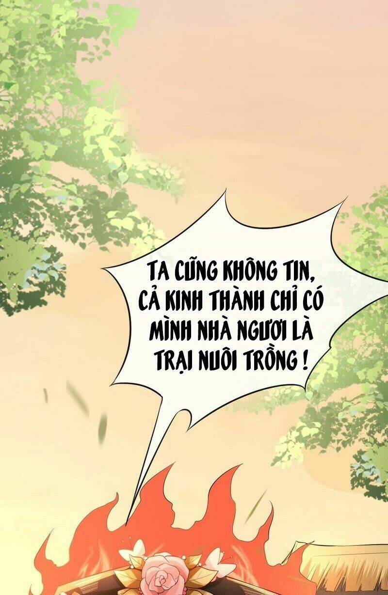 quận chúa vững vàng, thiết lập nhân vật không thể vỡ chapter 48 11