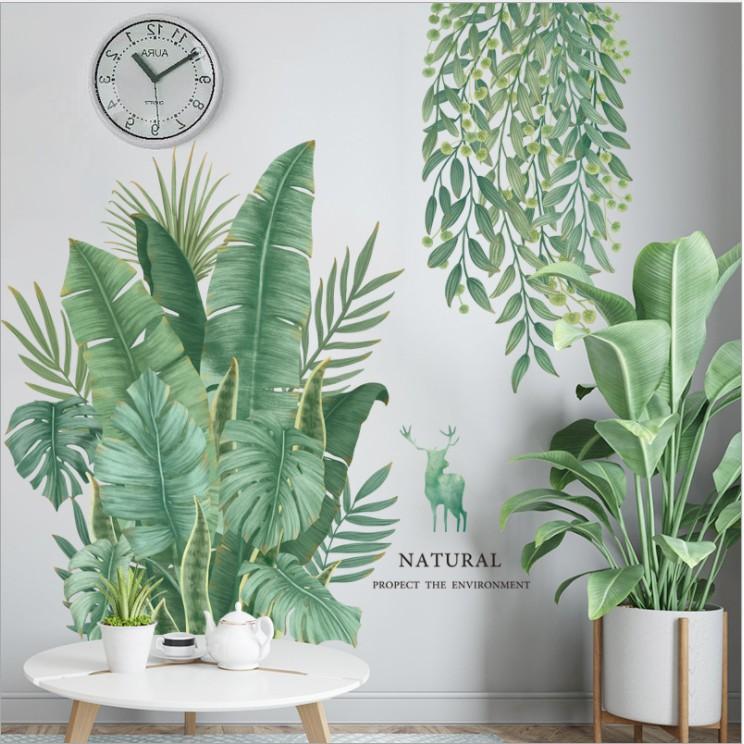 Decal trang trí tường - CÂY CHUỐI XANH DÂY LEO TƯƠI MÁT
