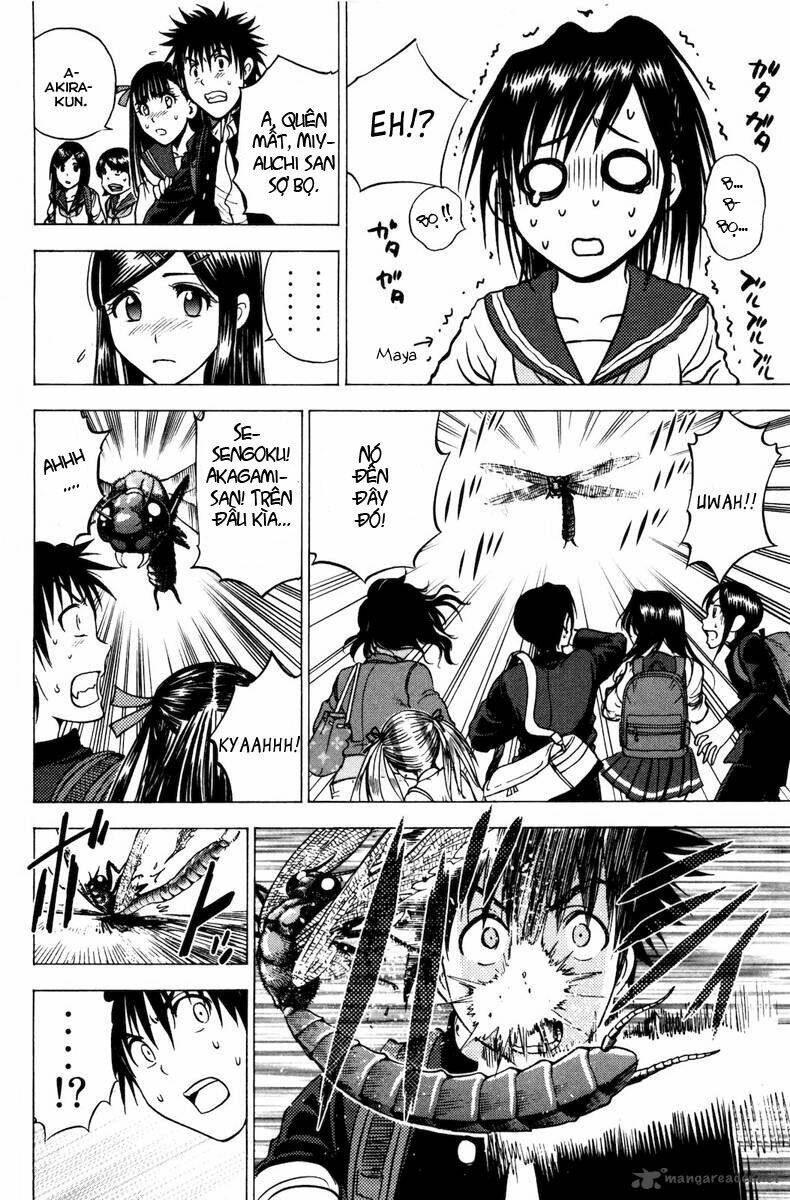 cage of eden chapter 74 6