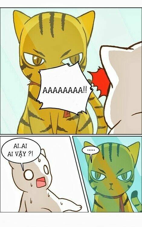 papi nyang chapter 12 5