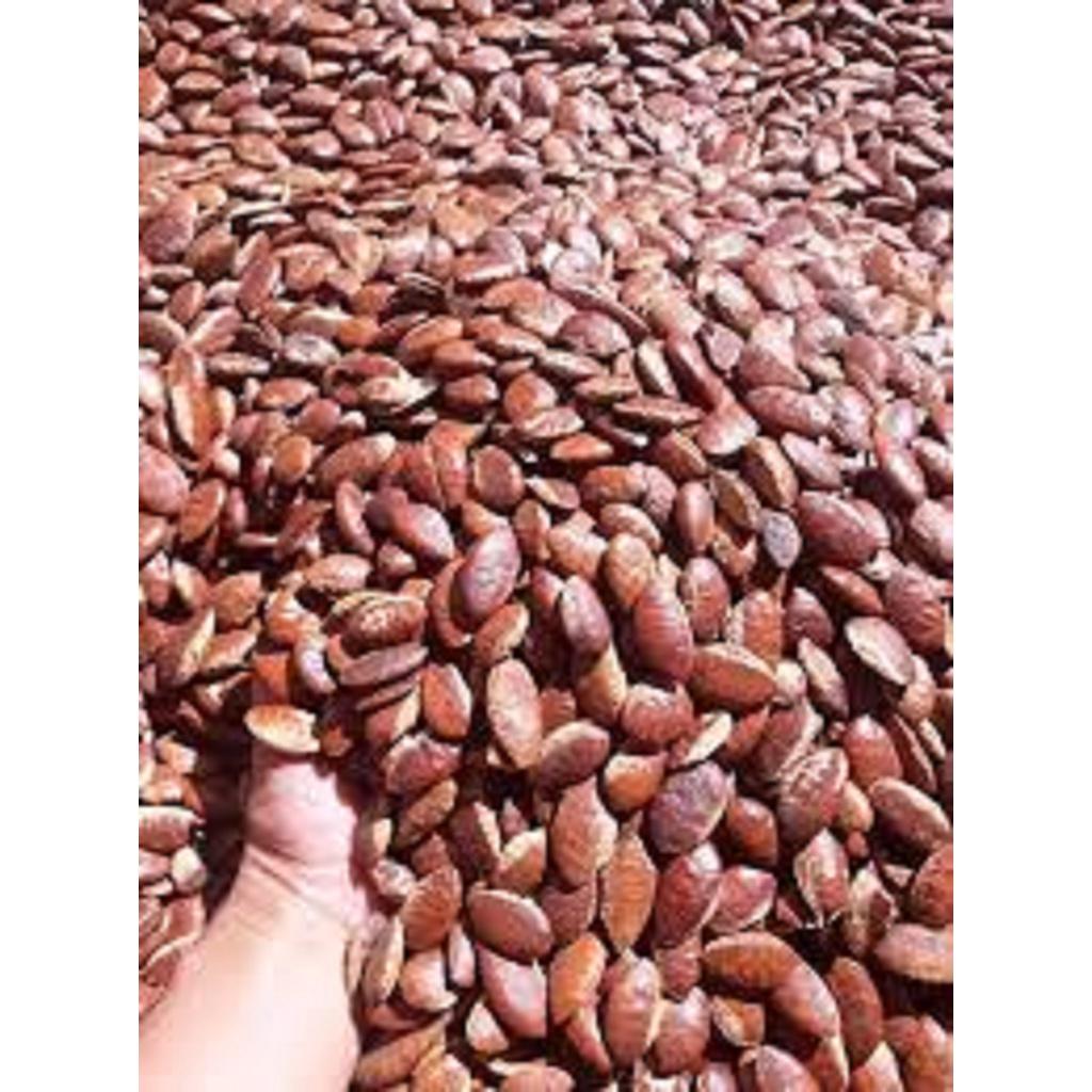 500 GRAM HẠT Kơ Nia Rừng loại 1 *