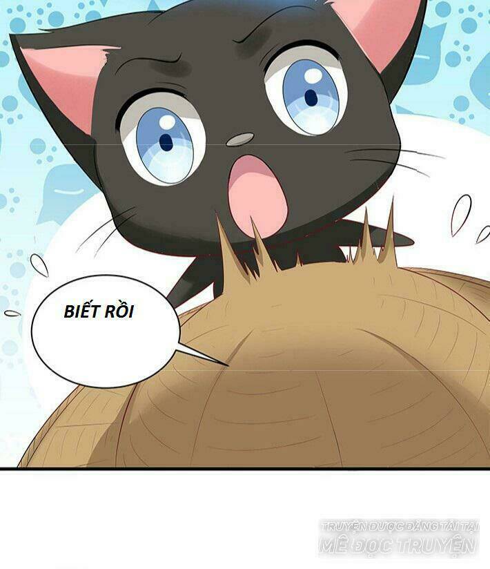 độc phi thần y quá kiêu ngạo chapter 39 11