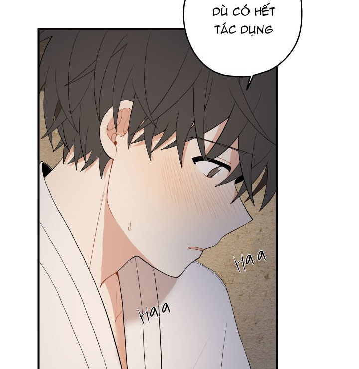 đường hoa liên kiều rơi chapter 24 17