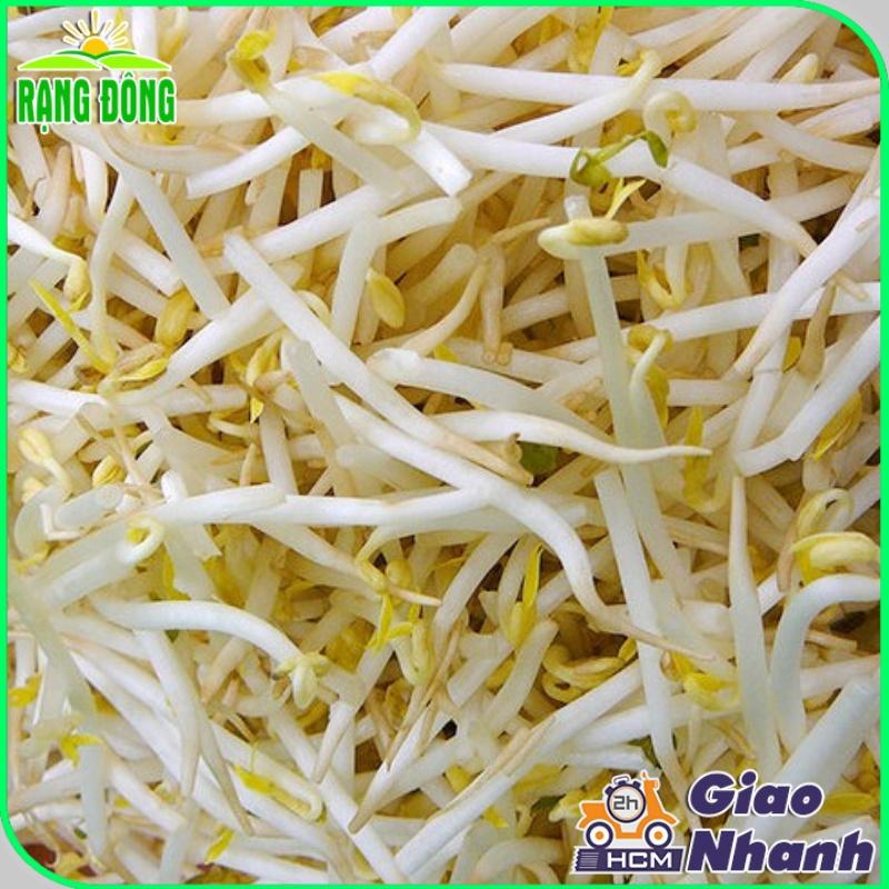 Hạt giống Rau Mầm Giá Đậu Xanh Dễ Trồng, Thu Hoạch Nhanh - Hạt Giống Rạng Đông