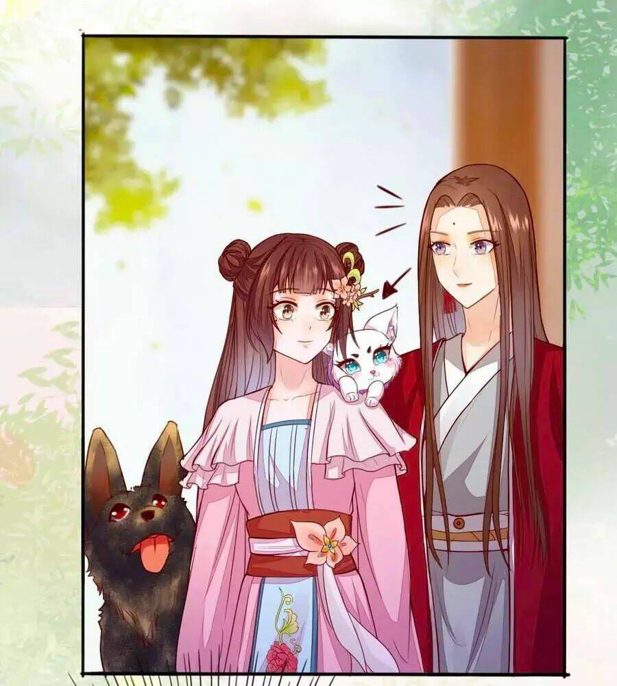 thần y khí nữ: ngự thú cuồng phi của quỷ đế chapter 62 10