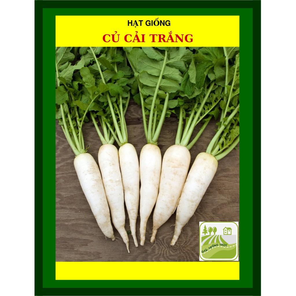 Hạt Giống Củ Cải Trắng 50 Gram