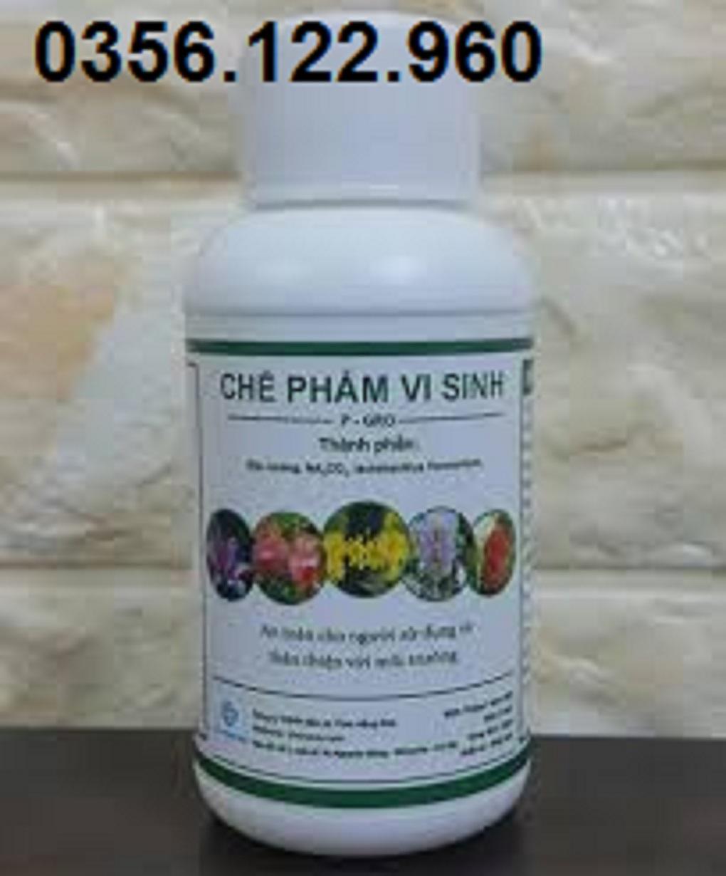 Bộ 3 lọ Chế Phẩm Vi Sinh Hữu Cơ P-GRO Trừ Nấm Sâu Bệnh