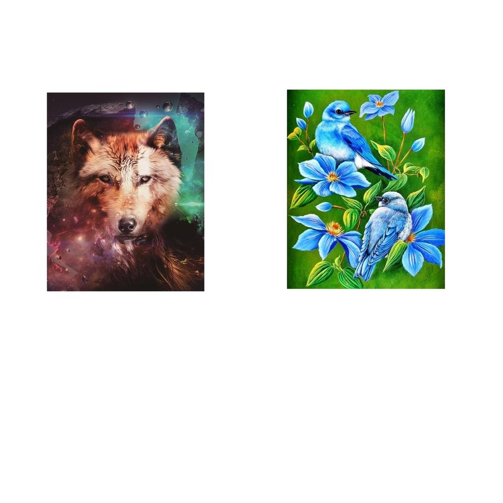 5D Diamond Painting Cross Stitch Kit Bird