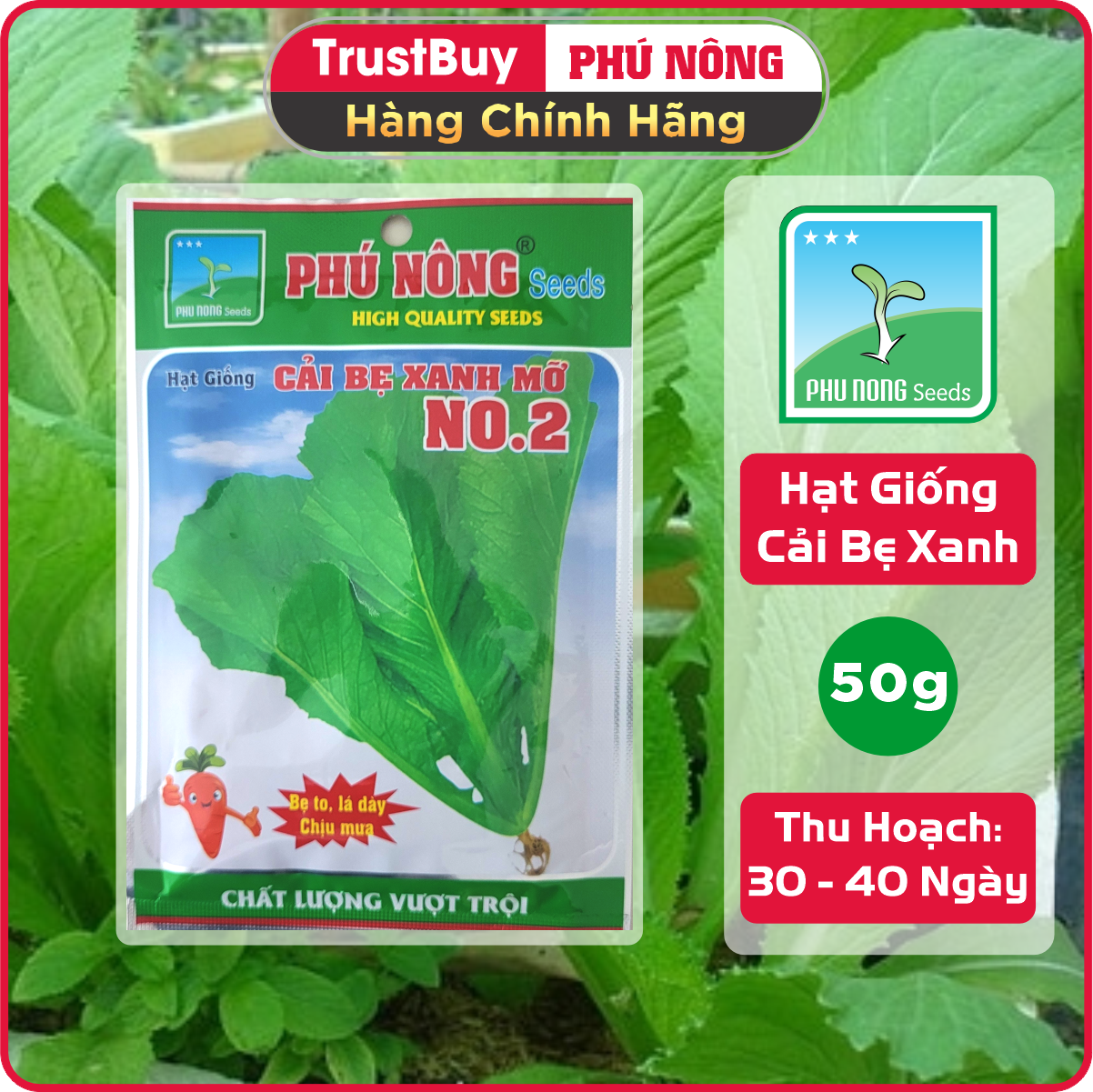 Hạt Giống Cải Bẹ Xanh Mỡ Phú Nông Gói 50g