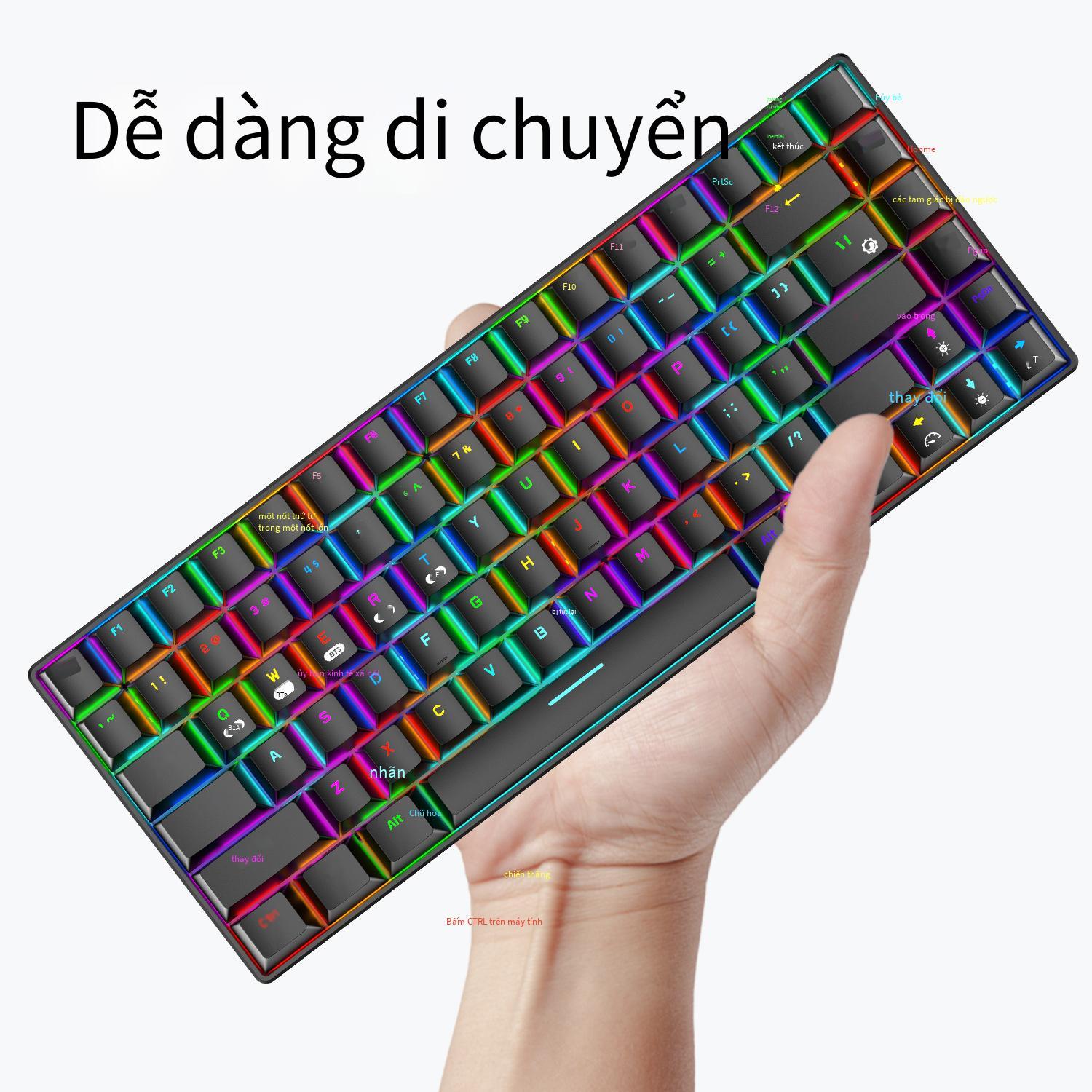 Phong cách mới nhất Xinmeng RF-84RGB ba chế độ Bluetooth 2.4G bàn phím cơ không dây Bàn phím máy tính xách tay trò chơi tùy chỉnh 84 phím