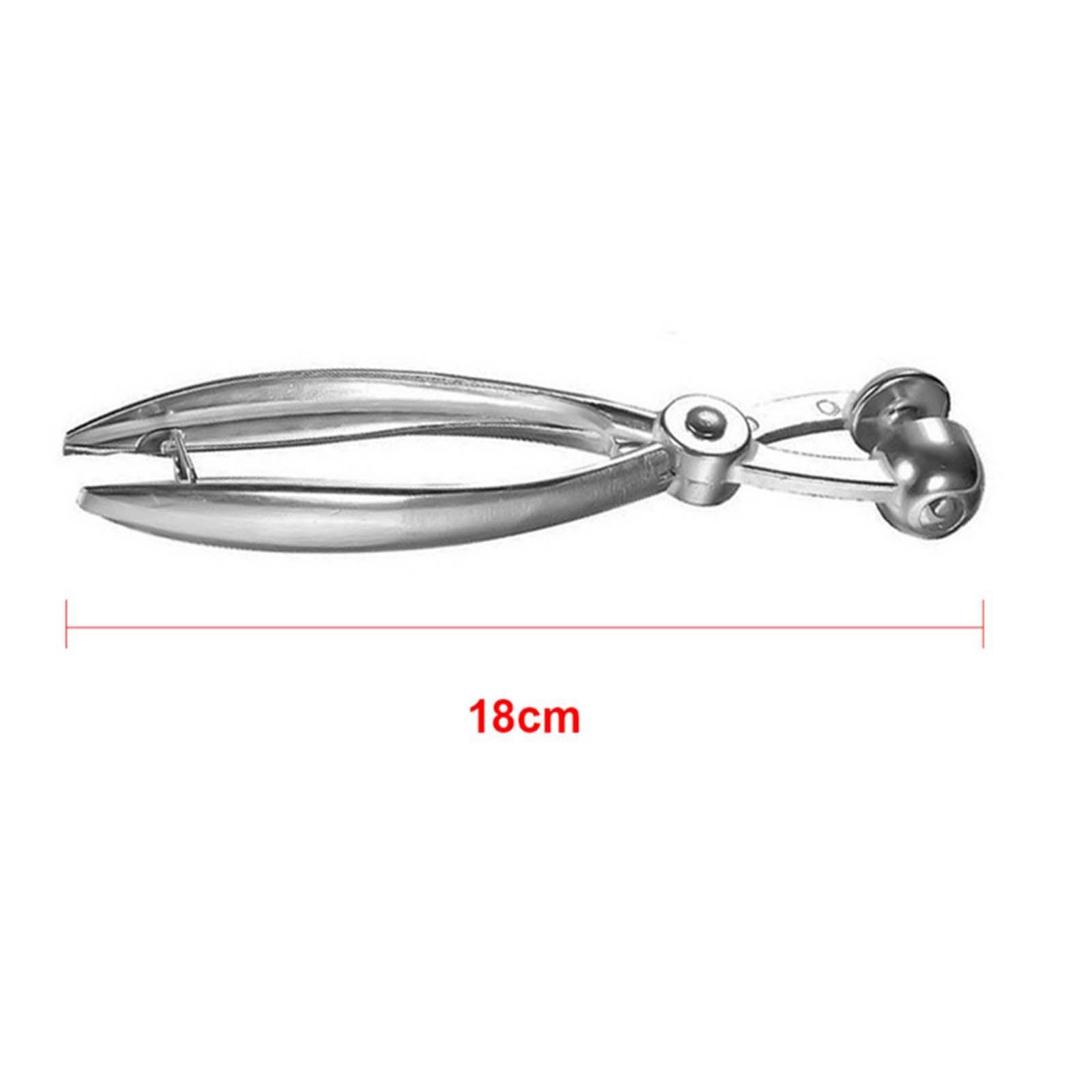 Metal Cherry Olive Pitter Tool, Core Remover, Pear Corer, Corer Fruit for cherry Pears Pear