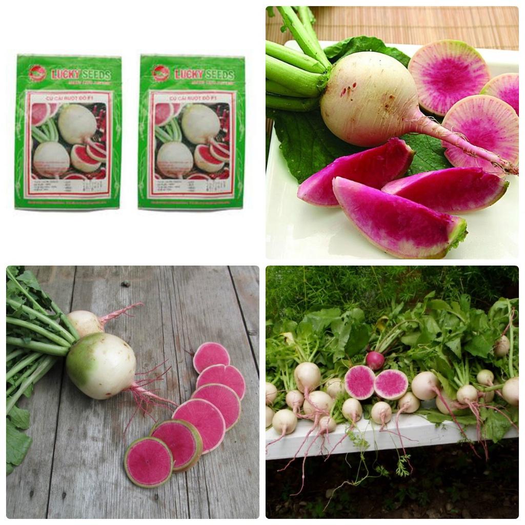Hạt giống củ cải trắng ruột đỏ-gói 2gram/tặng kèm gói phân bón lót