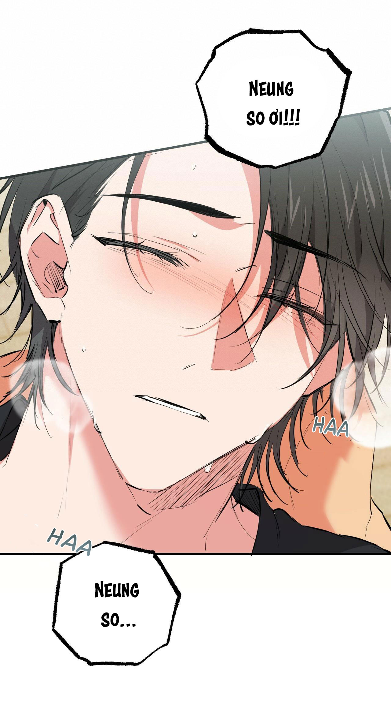 những chú thỏ của hapypy chapter 36 43