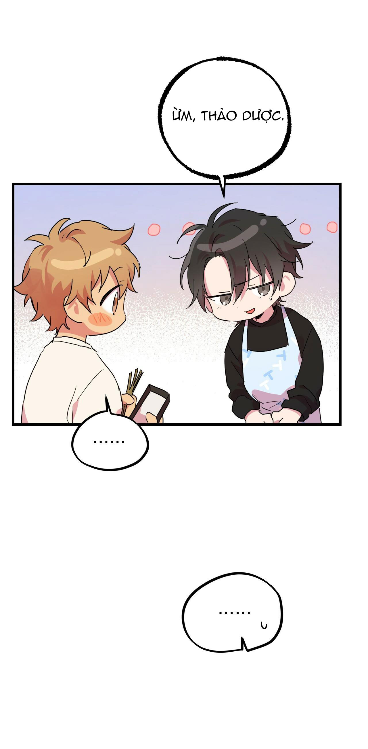 những chú thỏ của hapypy chapter 12 24