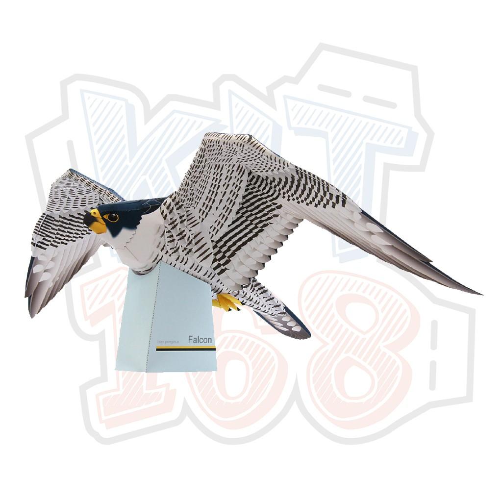 Mô hình giấy động vật chim Falcon