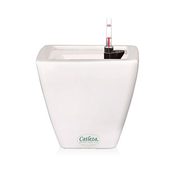Chậu sơn vuông bầu 3 size - Chậu nhựa tự dưỡng Catleza