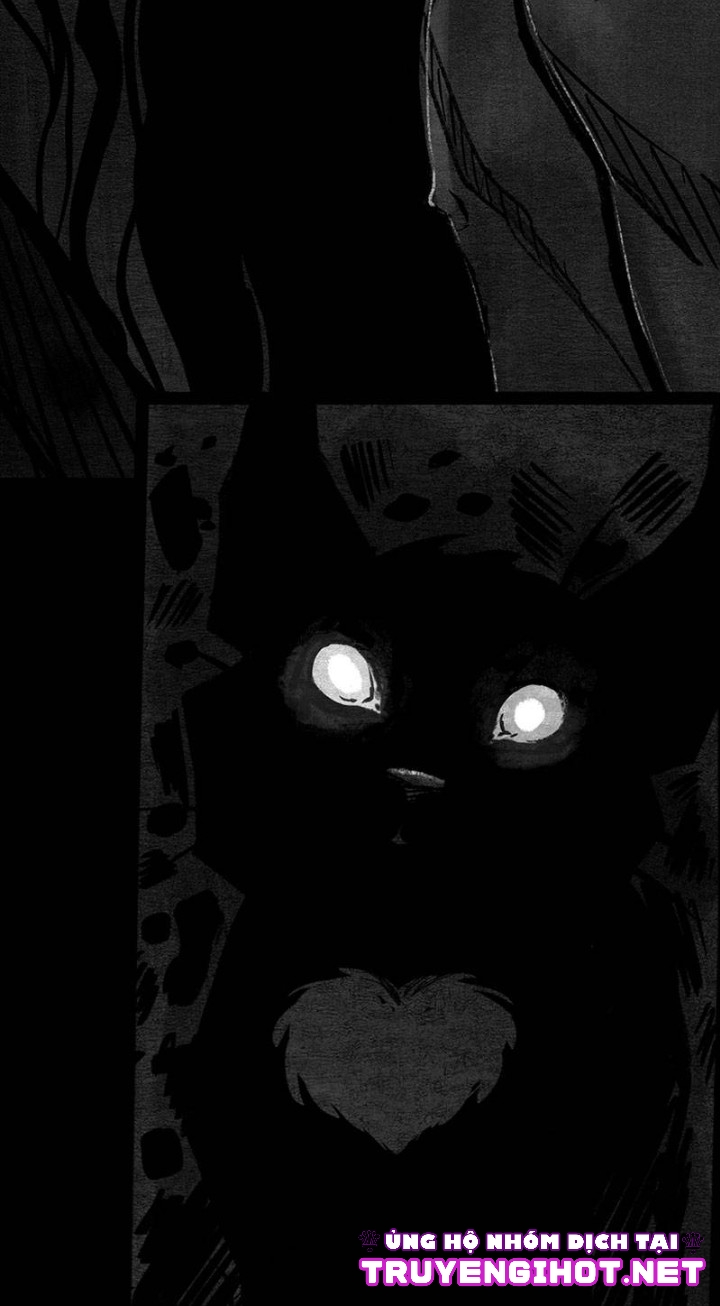 [18+] chim hoàng yến bé nhỏ của hades chapter 6 15