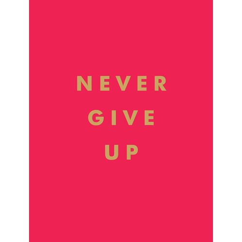 Never Give Up