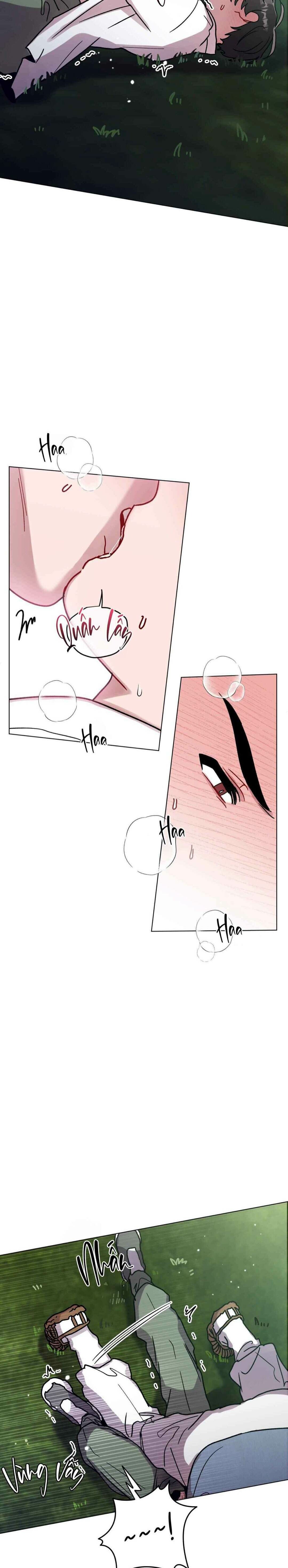 cơn mưa rào mùa hạ chapter 88 17