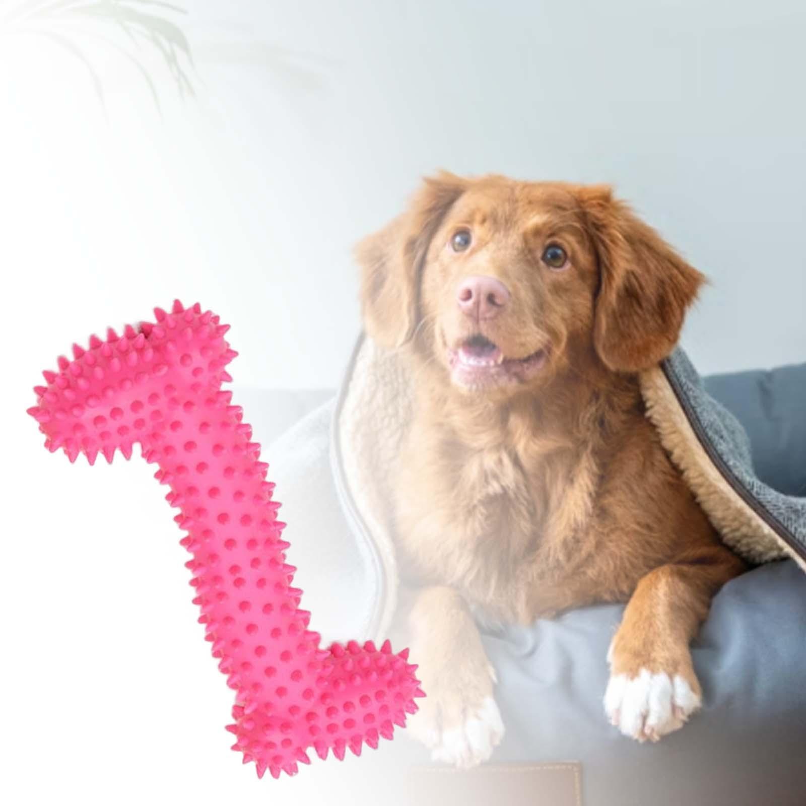 Dog Chew Toys for Small Medium Large Breed Pet Toys  Dog Toy