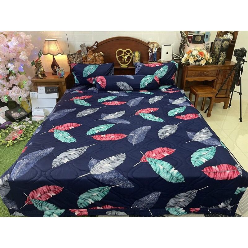 Drap thun Hàn quốc