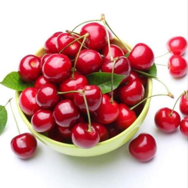 Sản phẩm CÂY GIỐNG CHERRY MỸ ĐỎ