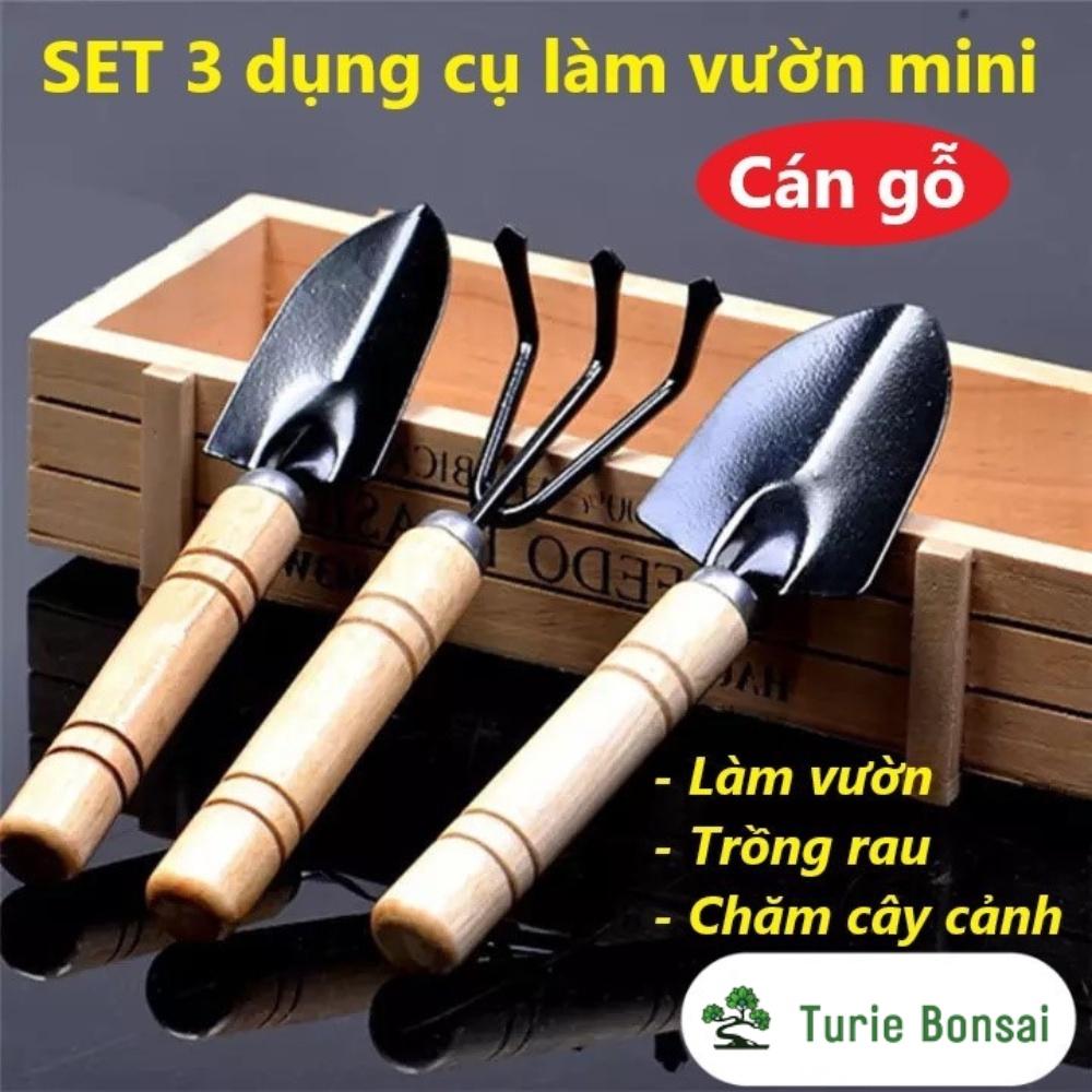Bộ 03 Dụng cụ làm vườn cán gỗ Xẻng + Bay + Cào đất trồng rau trồng hoa chăm cây cảnh