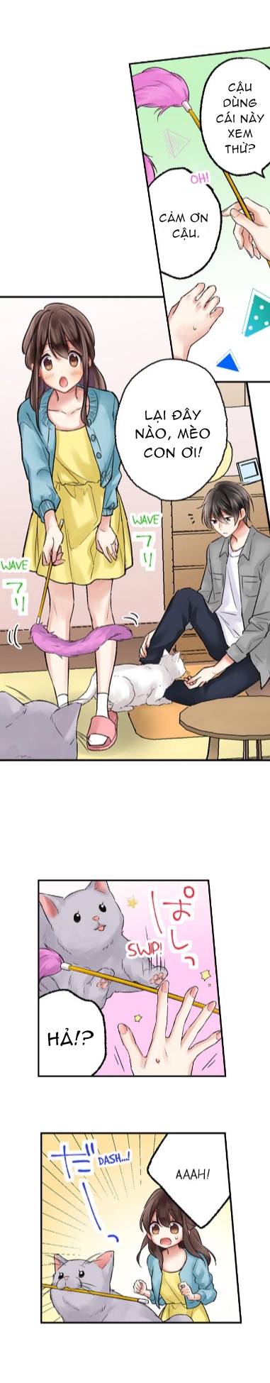 họ chắc chắn đã làm chuyện đó chapter 13.2 2