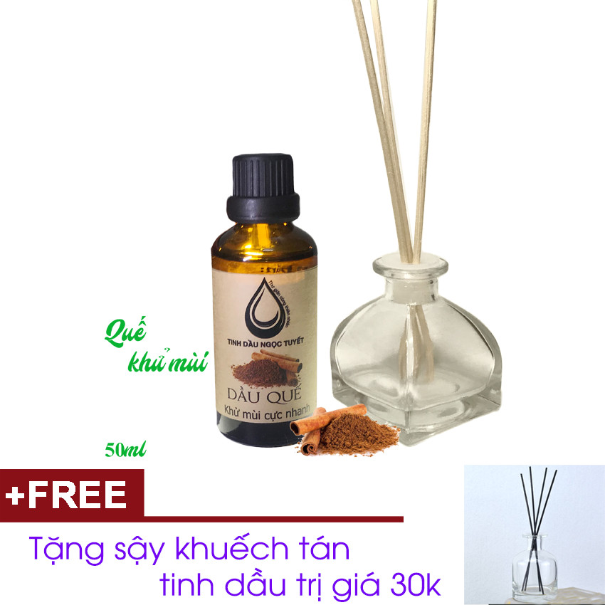 Combo tinh dầu quế 30ml + lọ sậy khuếch tán Ngọc Tuyết TẶNG sậy khuếch tán tinh dầu