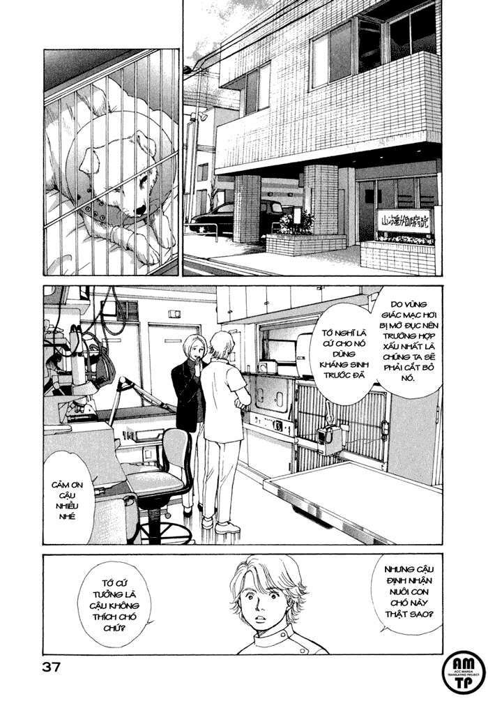 eternal sabbath chapter 19 15