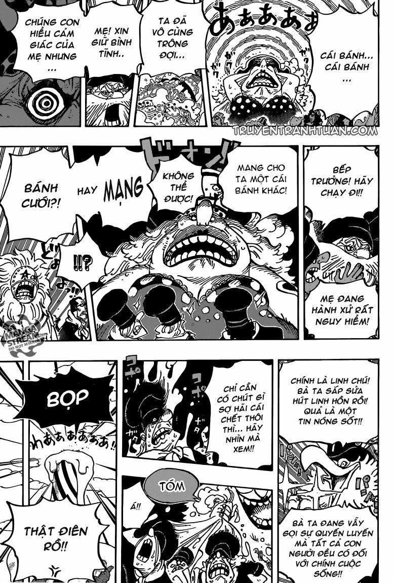 đảo hải tặc - one piece chapter 863 8
