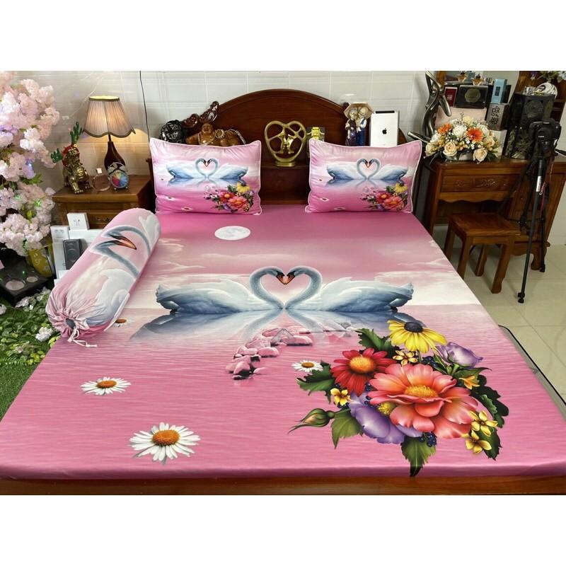 Drap thun hàn quốc