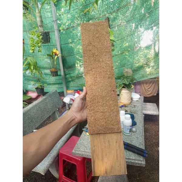 Trụ sơ dừa dạng bảng gỗ siêu bền, thích hợp dây leo