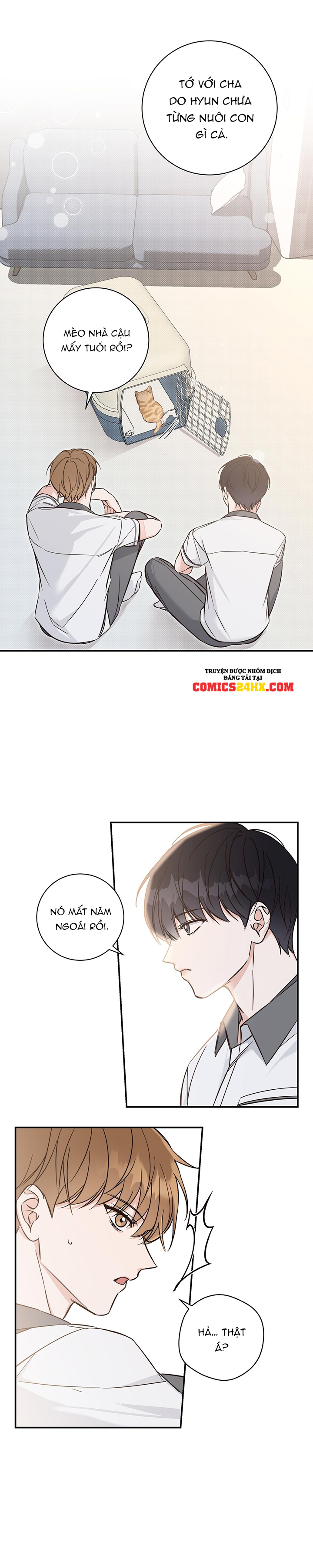 mùa hạ chapter 6 18