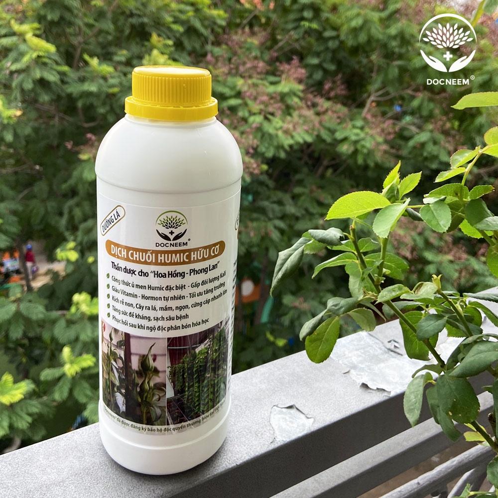 Dịch Chuối Humic hữu cơ DocNeem - giúp chồi rễ phát triển mạnh