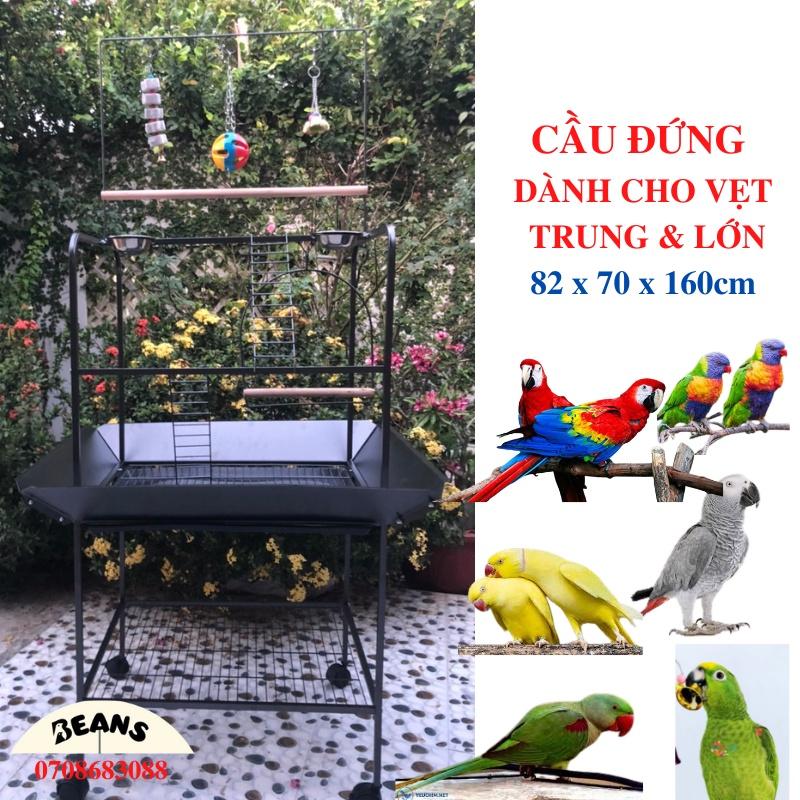 Cầu đứng cho vẹt hàng cao cấp nhập khẩu dành cho vẹt trung và lớn như xám, xích, amazon, electus, lory, macaw ..