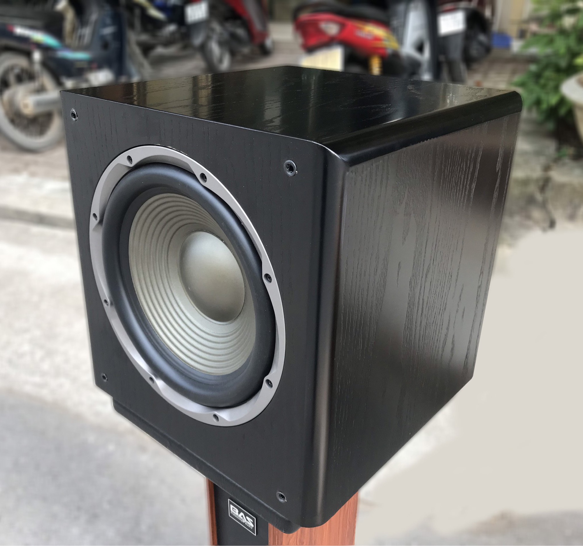 Loa sub - Loa trầm điện BAS AS12 bass 30 nguồn xuyến - Hàng chính hãng