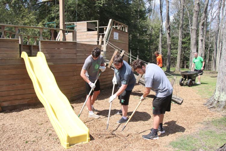 *** Wood chip, chip mulch - tổng kho mảnh gỗ mùn rải sân vườn