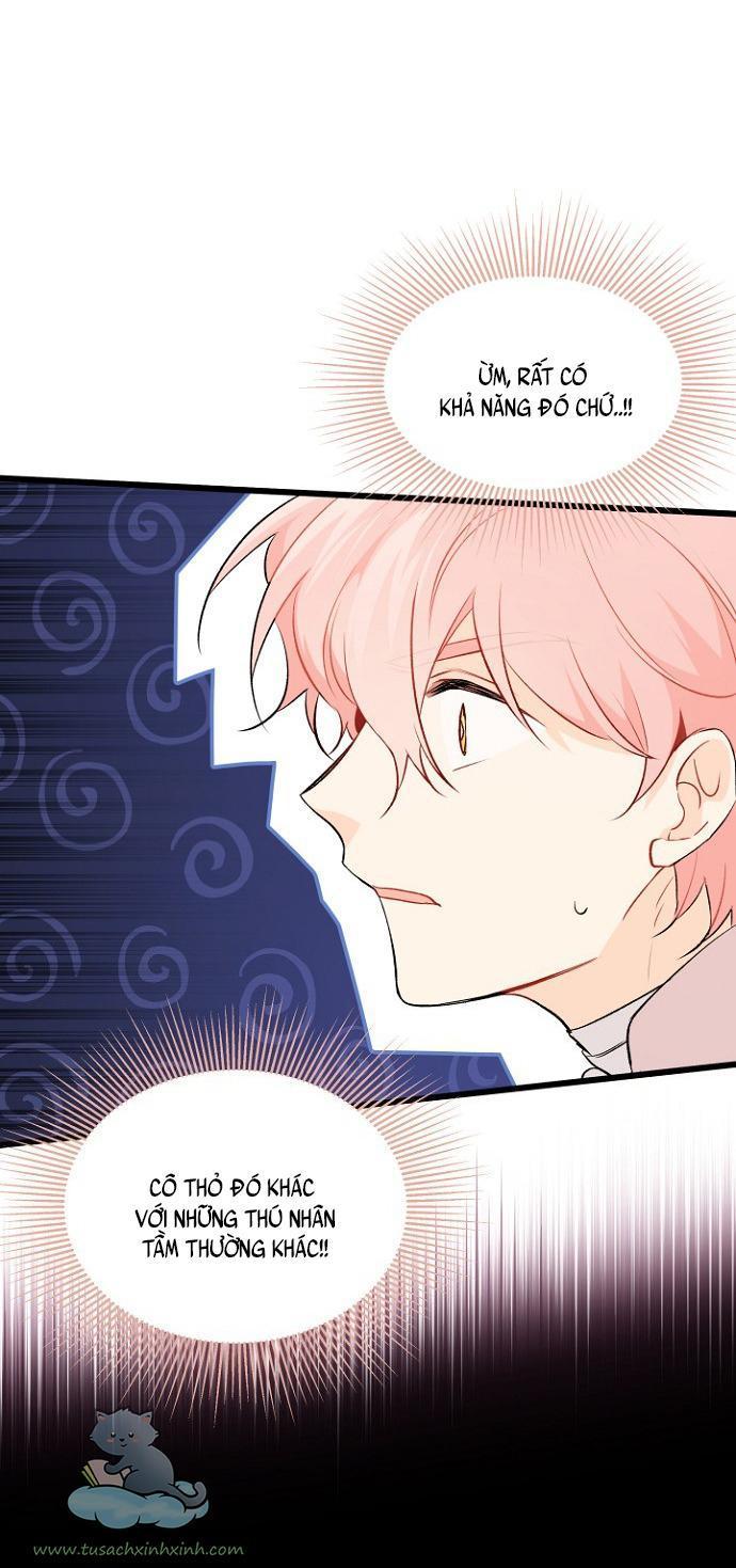 quan hệ cộng sinh giữa báo đen và thỏ trắng chapter 47 31