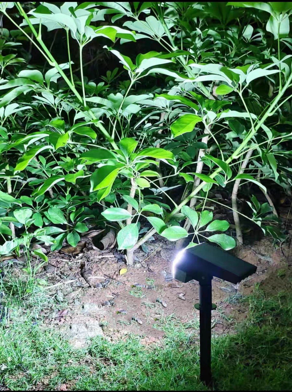 Đèn năng lượng mặt trời  trang trí sân vườn