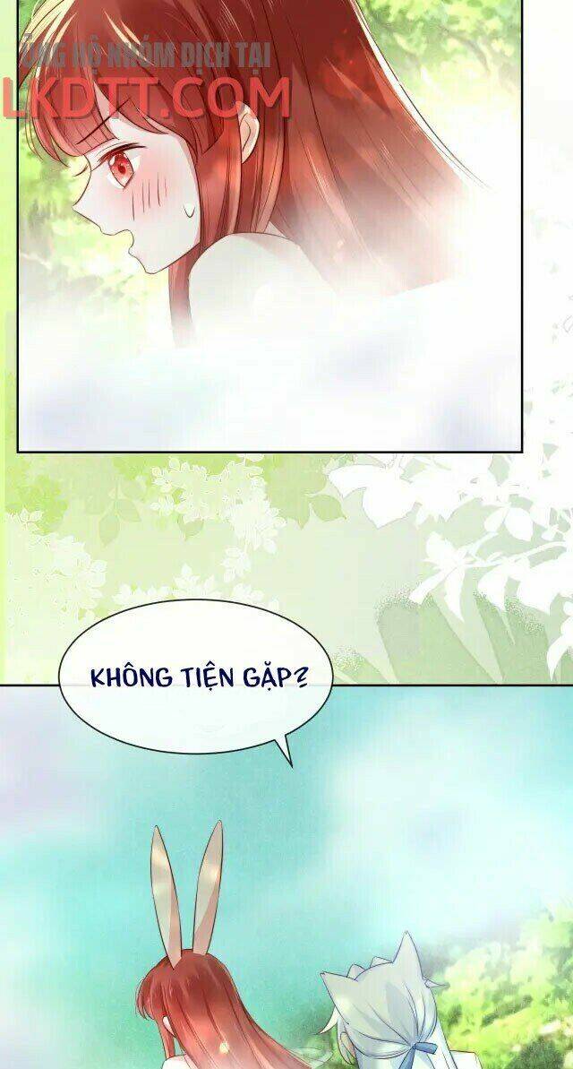 hắc hóa nam chính trực tuyến nuôi thỏ chapter 25 17