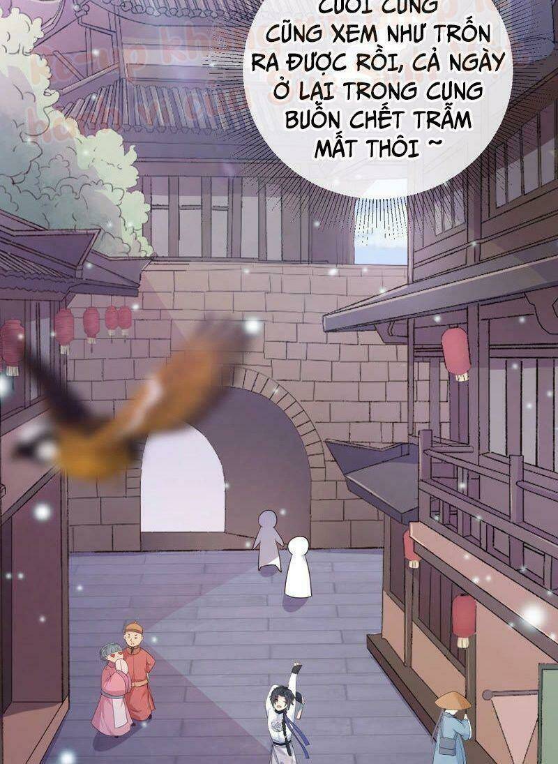 quận chúa vững vàng, thiết lập nhân vật không thể vỡ chapter 1 45