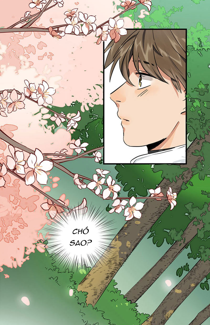 lục châu ca đầu chapter 1 15